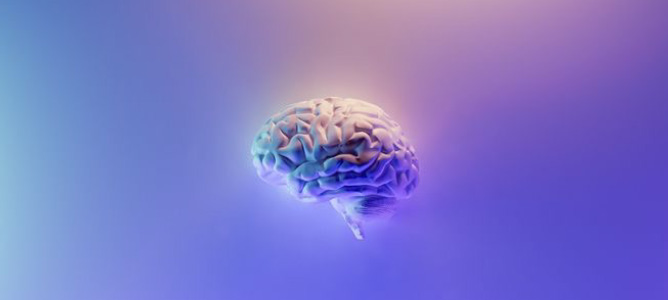 Profile view of a human brain, in shades of purple and blue, on a purple and blue gradient background. Profile view of a human brain, in shades of purple and blue, on a purple and blue gradient background.